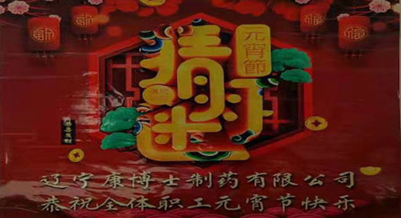 公司舉辦元宵節(jié)活動(dòng)歡慶傳統(tǒng)佳節(jié)