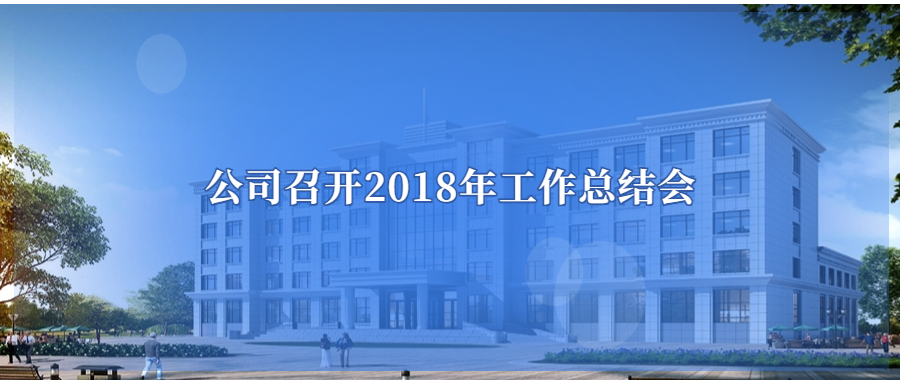 公司召開2018年度工作總結(jié)會