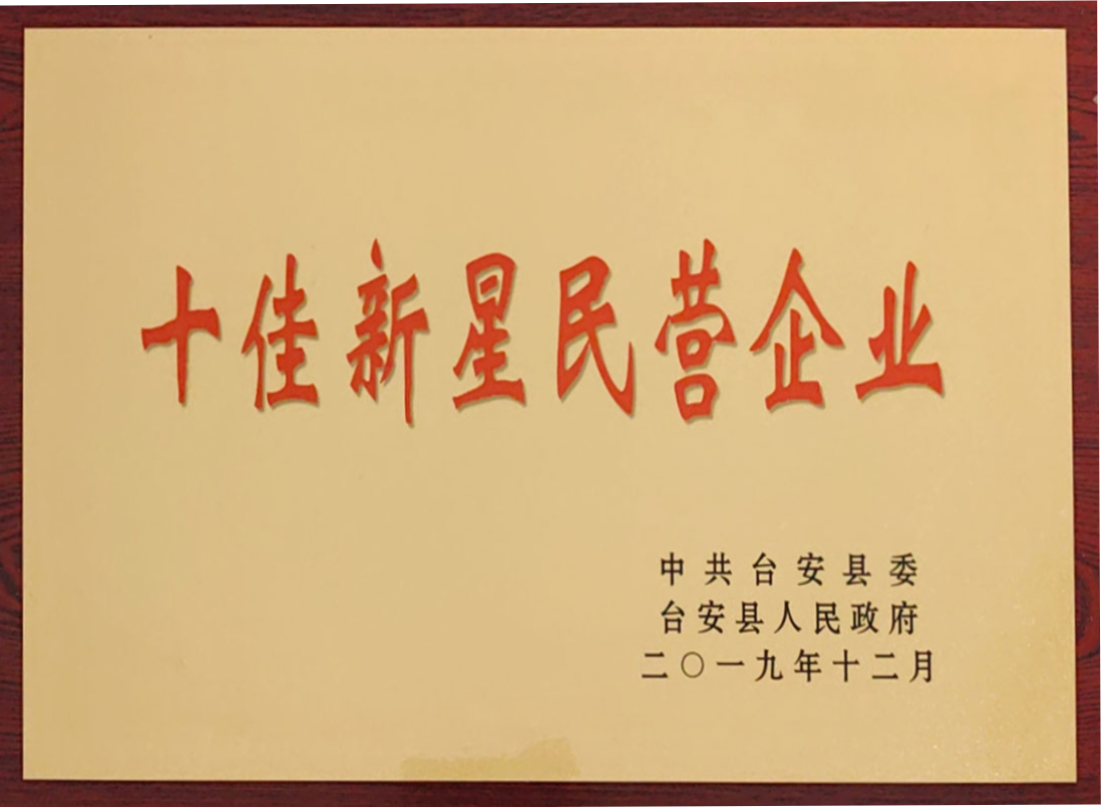 十佳新星民營企業(yè)