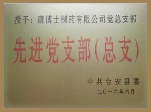 喜報(bào)！黨總支獲表彰