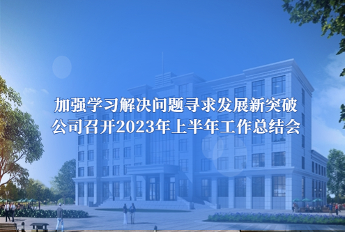 加強學習解決問題尋求發(fā)展新突破 －－公司召開2023年上半年工作總結會
